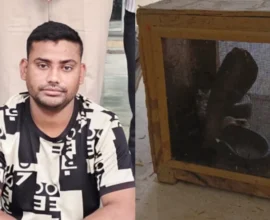 कोटा में नाबालिग लड़की से छेड़छाड़, कोबरा और नकली नोट के साथ इमरान गिरफ्तार