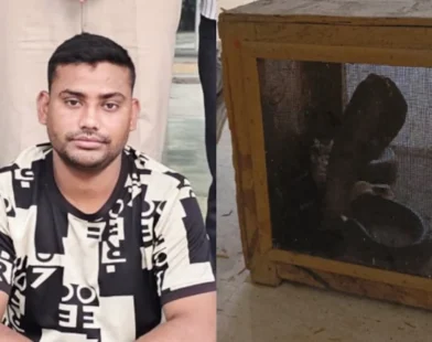 कोटा में नाबालिग लड़की से छेड़छाड़, कोबरा और नकली नोट के साथ इमरान गिरफ्तार
