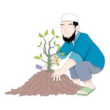 plantation
