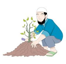 plantation