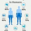 Understanding Water in the Human Body: A Simple Guide