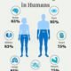 Understanding Water in the Human Body: A Simple Guide